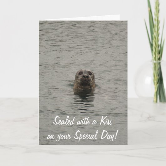 Kute Seal-lover's Birthday Kaart (Voorkant)