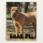 Kute Shar Pei Puppy Calendar Planner (Voorkant)