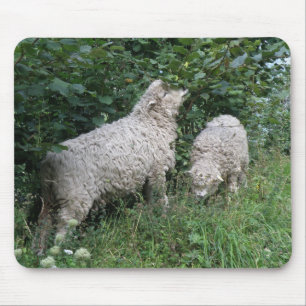 Kute Sheep Eating Leaves Mousepad Muismat