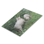 Kute Sheep Eating Leaves Notepad Notitieblok (Schuin)