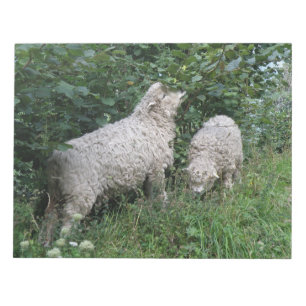 Kute Sheep Eating Leaves Notepad Notitieblok