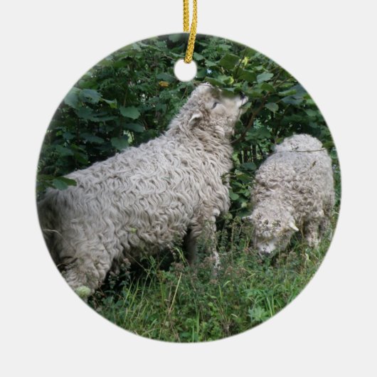 Kute Sheep Eating Leaves Ornament (Voorkant)