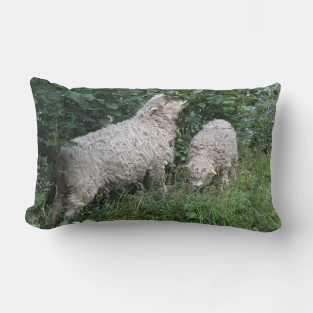 Kute Sheep Eating Leaves Pillow Kussen (Voorkant)