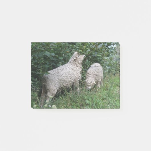 Kute Sheep Eating Leaves Post merkt Pad op Post-it® Notes (Voorkant)