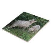 Kute Sheep Eating Leaves Tile Tegeltje (Zijkant)