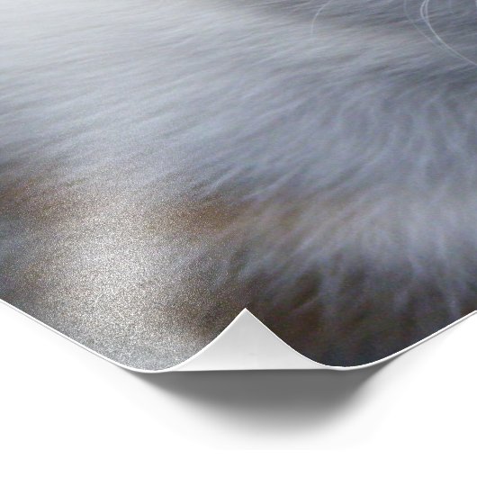 Kute Sinaasappel en White Kitten Poster (Hoek)