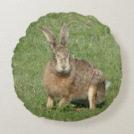 Kute Sitting Hare Close Round Pillow Rond Kussen