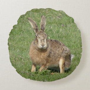 Kute Sitting Hare Close Round Pillow Rond Kussen
