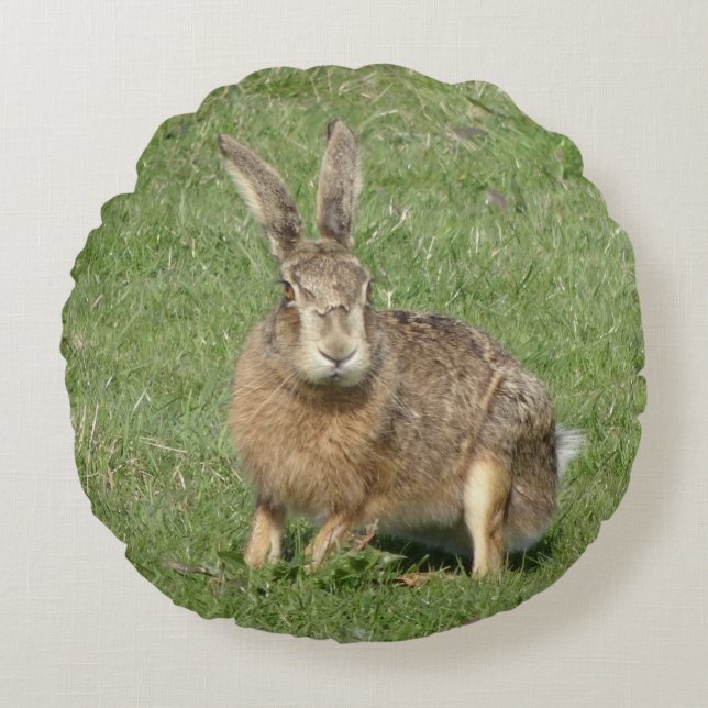 Kute Sitting Hare Close Round Pillow Rond Kussen (Voorkant)