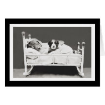 Kute slaaphonden door Harrier Whittier Frees