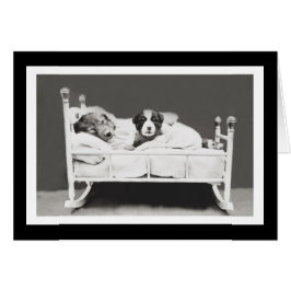 Kute slaaphonden door Harrier Whittier Frees