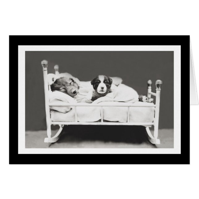 Kute slaaphonden door Harrier Whittier Frees (Voorkant Horizontaal)