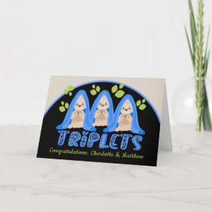 Kute Sloth Three Boys New Triplet Babies Kaart
