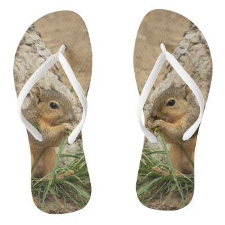 Kute Squirrel Flip Flop Sandals