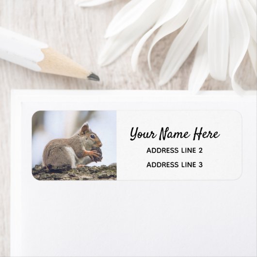 Kute Squirrel Return Address Labels (Insitu)