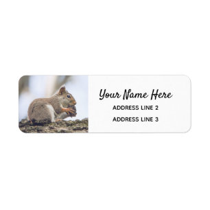 Kute Squirrel Return Address Labels