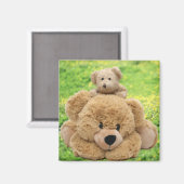 Kute Teddy bears in een weide Magneet (Voorkant / Achterkant)