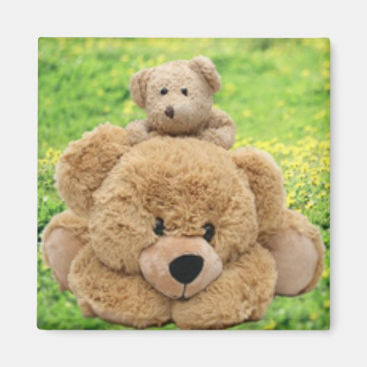 Kute Teddy bears in een weide Magneet (Voorkant)