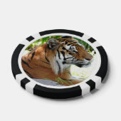 Kute tigers pokerchips (Enkel)