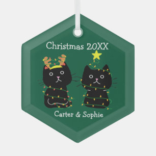 Kute Two Cat kerstlampjes Persoonlijk Groen Glas Ornament