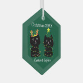 Kute Two Cat kerstlampjes Persoonlijk Groen Glas Ornament (Voorkant Rechts)