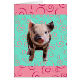 Kute Varken - Blauwe en Roze Zwemmen