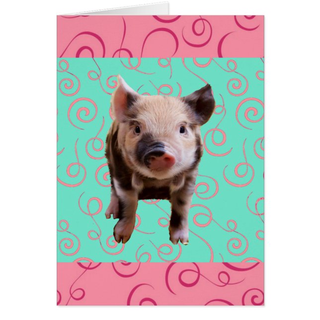 Kute Varken - Blauwe en Roze Zwemmen (Voorkant)