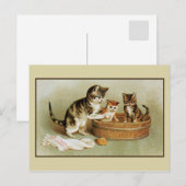 Kute Victoriaans kattenzwemkittens in badkuip Briefkaart (Voorkant / Achterkant)