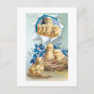 Kute Vintage Chicken, Flowers & Easter Greeting Briefkaart