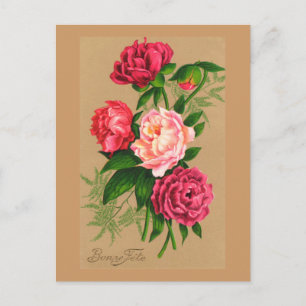 Kute Vintage Floral roze rozen Briefkaart