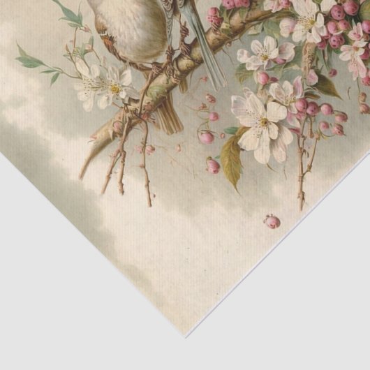 Kute vogels op een filiaal tissuepapier (Detail)