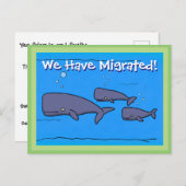 Kute walvissen die we hebben verplaatst naar adres briefkaart (Voorkant / Achterkant)