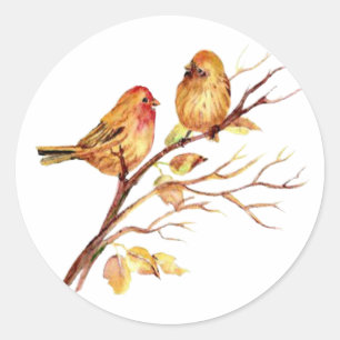 Kute Waterverf Bird Couple on Tree Branch art Ronde Sticker