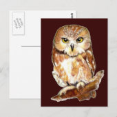 Kute Waterverf Saw Whet Owl, Bird, Animal Briefkaart (Voorkant / Achterkant)