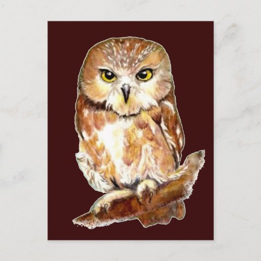 Kute Waterverf Saw Whet Owl, Bird, Animal Briefkaart (Voorkant)