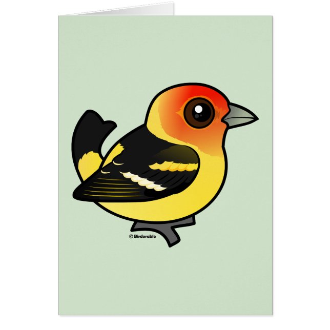 Kute Westerne Tanager (Voorkant)