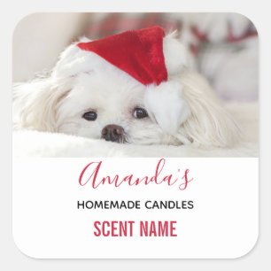 Kute White Dog in een Rode Kerstmis Pet Kandle Sce Vierkante Sticker