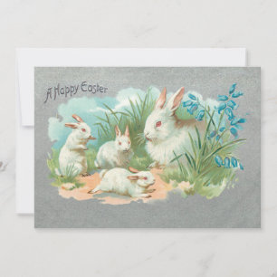 Kute  White Easter Bunnies Feestdagenkaart