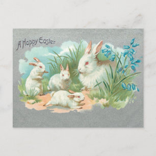 Kute  White Easter Bunnies Feestdagenkaart