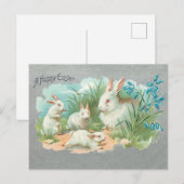 Kute  White Easter Bunnies Feestdagenkaart (Voorkant / Achterkant)