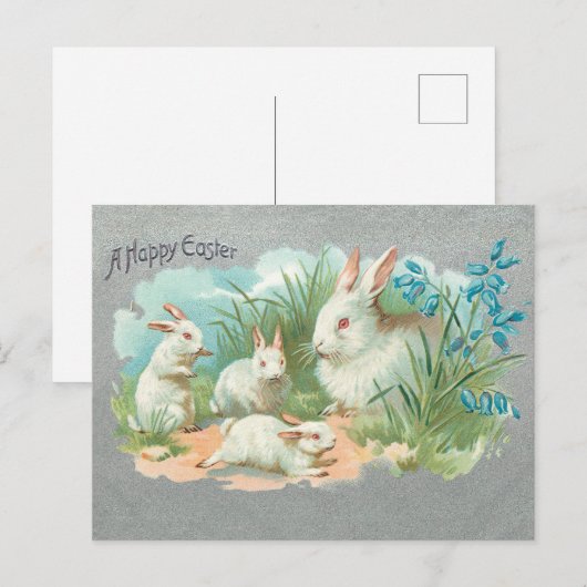 Kute White Easter Bunnies Feestdagenkaart (Voorkant / Achterkant)