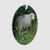 Kute White Fluffy Sheep Eating AcrylOrnament Ornament (voorkant)