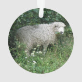 Kute White Fluffy Sheep Eating AcrylOrnament Ornament (achterkant)