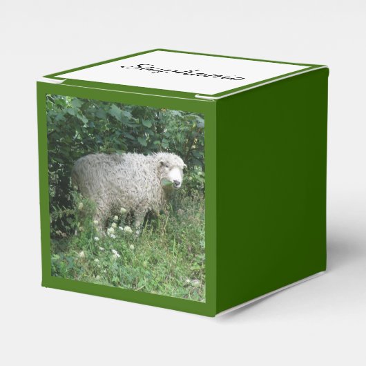 Kute White Fluffy Sheep Eating Custom Favor Box Bedankdoosjes (Voorkant Zijde)