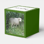 Kute White Fluffy Sheep Eating Custom Favor Box Bedankdoosjes (Achterkant)