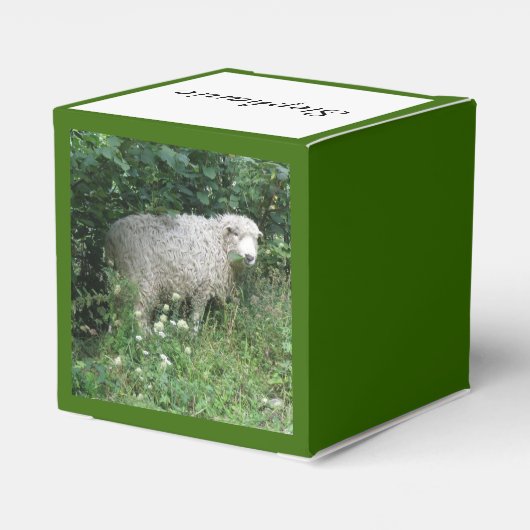 Kute White Fluffy Sheep Eating Custom Favor Box Bedankdoosjes (Achterkant)