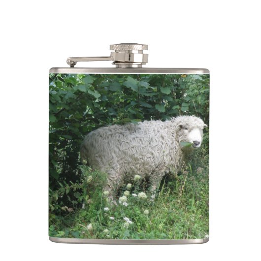 Kute White Fluffy Sheep Eating Flask Heupfles (Voorkant)