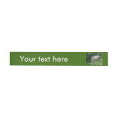 Kute White Fluffy Sheep Eating Labels Omwikkelbaar Adreslabel (Individueel)