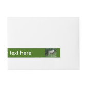 Kute White Fluffy Sheep Eating Labels Omwikkelbaar Adreslabel (Voorkant)