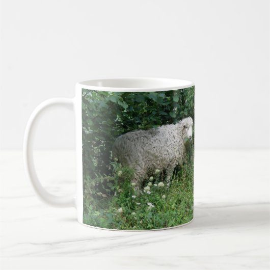Kute White Fluffy Sheep Eating Mok (Links)